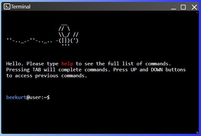 Terminal Portfolio Website Javascript Berna Kurt